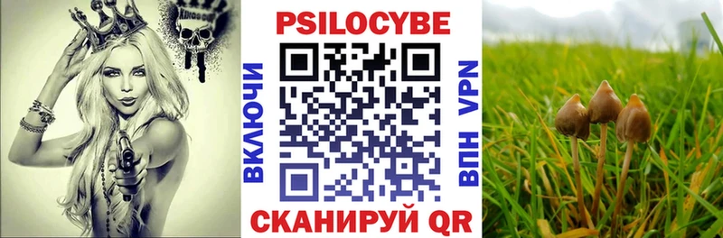 продажа наркотиков  Кострома  Псилоцибиновые грибы ЛСД 